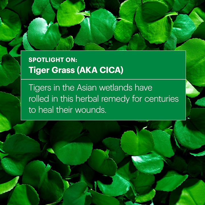 Dr.Jart+ Tiger Grass Color Correcting Treatment 50ml