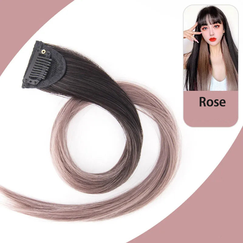Colorful Day Clip In Hair Extension Rose Straight L60cm W40mm