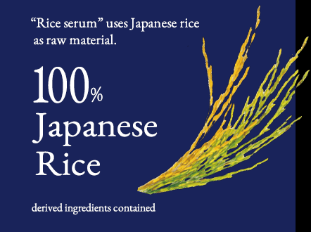 Ishizawa Keana Nadeshiko Rice Toner 300ml